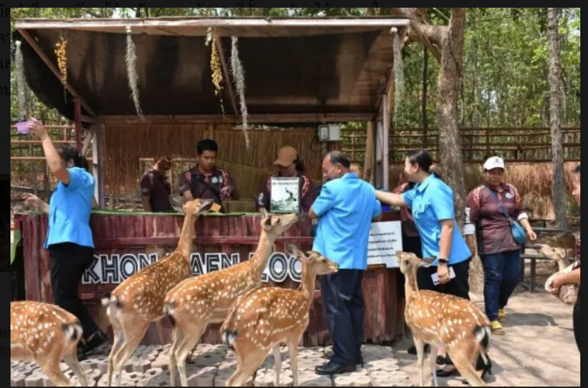 สวนสัตว์ขอนแก่น ร่วมลงนามบันทึกข้อตกลง MOU กับโรงเรียนโสตศึกษาจังหวัดขอนแก่น พัฒนาด้านการสื่อสารด้วยภาษามือทางด้านสัตว์ป่า