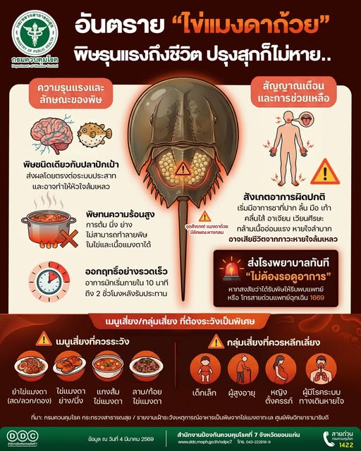 แพทย์เตือนแยกไม่ออก เสี่ยงถึงตาย❗ ⚠ อันตรายจากไข่แมงดาทะเลที่หลายคนมองข้าม