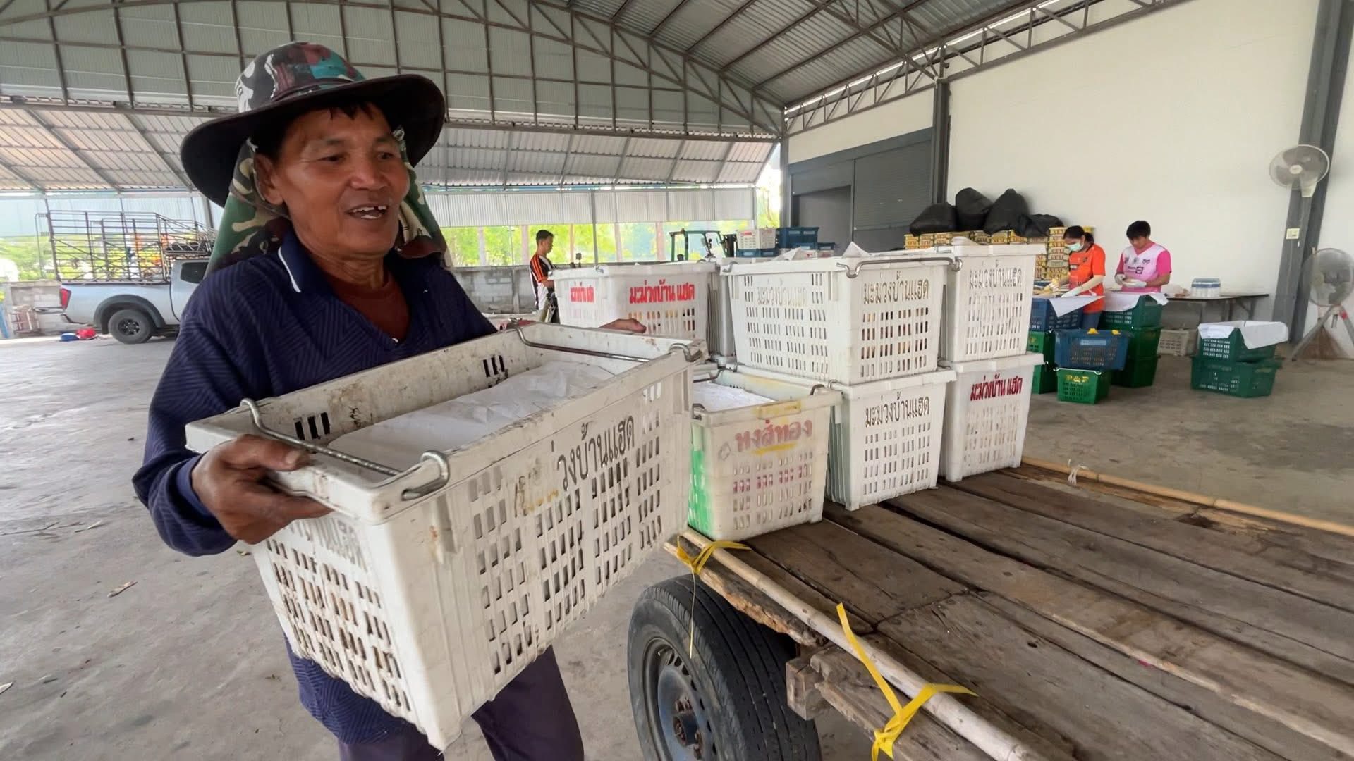 🥭 เกษตรกรผู้ปลูกมะม่วงขอนแก่นหวั่นวิกฤตน้ำมัน-สงคราม กระทบการส่งออก - มั่นใจ นายกฯ "อนุทิน" จะแก้ปัญหาวิกฤตได้