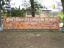 ศูนย์วิจัยและพัฒนาพันธ์สัตว์ท่าจังหวัดขอนแก่นประกาศขายทอดโคเนื้อ